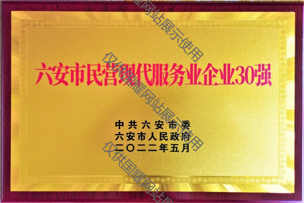 六安市民營(yíng)現(xiàn)代服務(wù)業(yè)企業(yè)30強(qiáng)